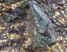 riolittufába ágyazódott - embedded in rhyolite tuff